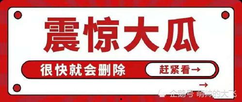 吃瓜娱乐视频网站大全,全网热门吃瓜娱乐视频网站大盘点